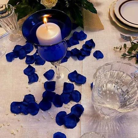 Aurora Couette-café Mandatoriccio Marina